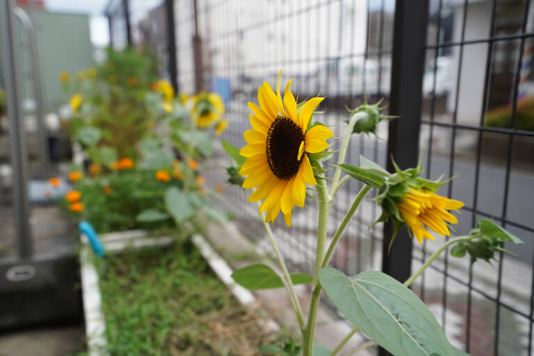 特徴・アピールポイント2